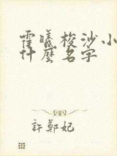 霍曦梭沙小说叫什么名字