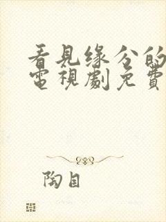 看见缘分的少女电视剧免费观看高清