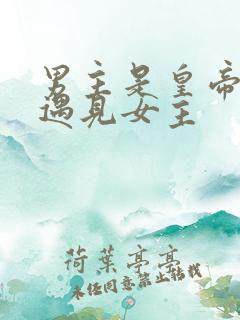 男主是皇帝出宫遇见女主