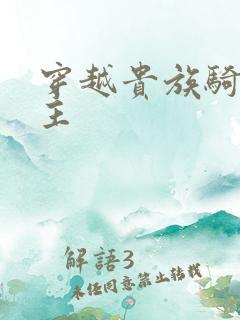 穿越贵族骑士领主