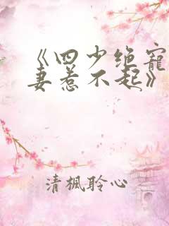 《四少绝宠:小妻惹不起》