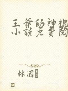 王爷的神棍王妃小说免费阅读