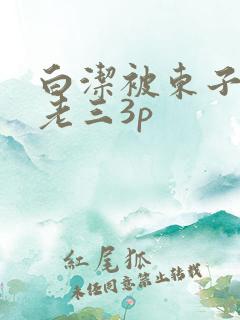 白洁被东子老二老三3p