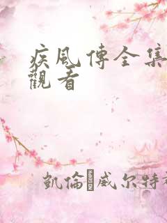 疾风传全集免费观看