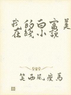 我的白富美老婆在线小说