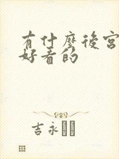 有什么后宫小说好看的