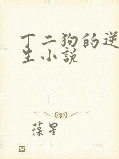 丁二狗的逆袭人生小说