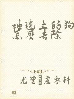 地毯上的狗尿味怎么去除