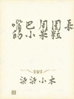 嘴巴周围长白色的小米粒