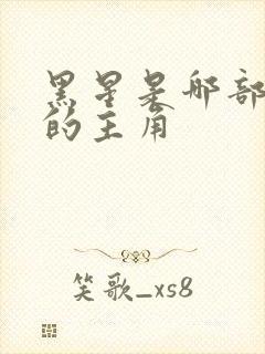 黑星是哪部小说的主角