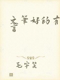 文笔好的有肉古言