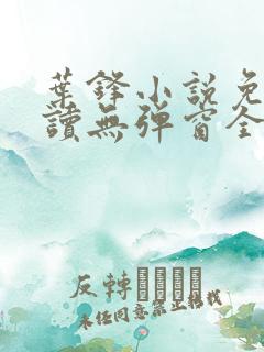 叶锋小说免费阅读无弹窗全文