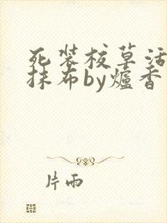 死装校草活该被抹布by炉香