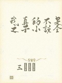 我真的不是气运之子小说全文阅读