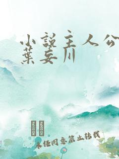 小说主人公乔念叶妄川