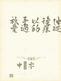 放手以后他寻找爱过的痕迹全文顾恒结局