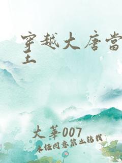 穿越大唐当个闲王