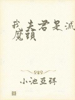 我夫君是灭世大魔头