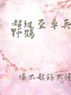 超级至尊兵王 野鹤