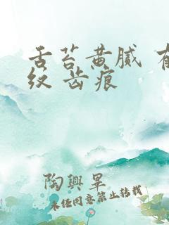 舌苔黄腻 有裂纹 齿痕