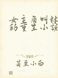 女主角叫林清婉的重生小说