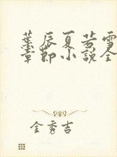 叶辰夏若雪最新章节小说全文免费阅读