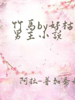 竹马by好枯双男主小说
