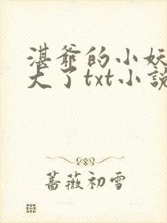 湛爷的小妖精长大了txt小说下载