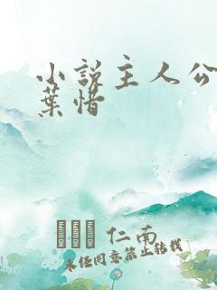 小说主人公林凡叶惜