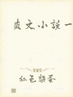 爽文小说一口气