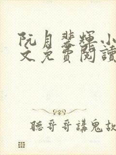 阮月裴辉小说全文免费阅读最新章节