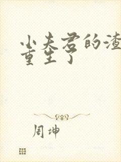 小夫君的渣攻他重生了