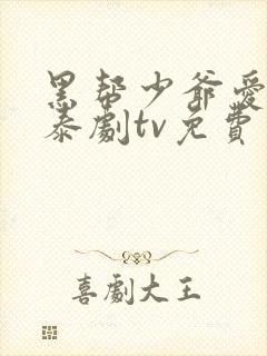 黑帮少爷爱上我泰剧tv免费观看