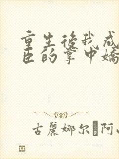 重生后我成了权臣的掌中娇下载