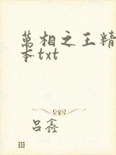 万相之王精校全本txt