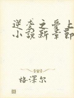 逆袭之爱上情敌小说新章节列表