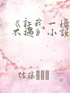 《许我一场经年不遇》小说免费阅读