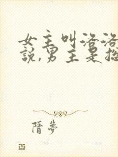 女主叫洛洛的小说,男主是总裁