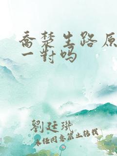 乔楚生路原著是一对吗