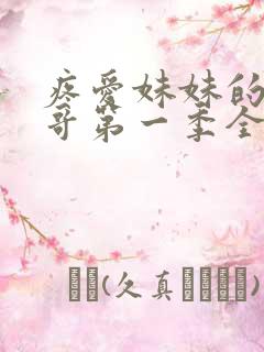 疼爱妹妹的好哥哥第一季全集免费观看 动漫