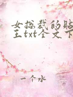 女总裁的贴身兵王txt全文下载