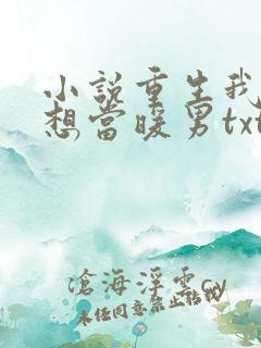 小说重生我真没想当暖男txt