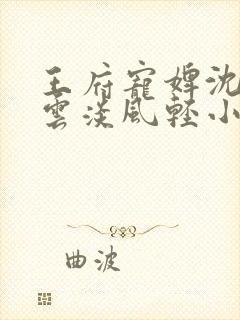 王府宠婢沈漪漪云淡风轻小说