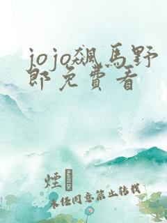 jojo飙马野郎免费看