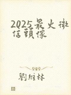 2025最火微信头像