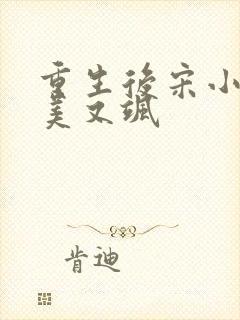 重生后宋小姐又美又飒