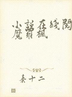 小说在线阅读血魔罗枫