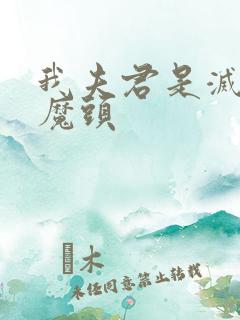 我夫君是灭世大魔头