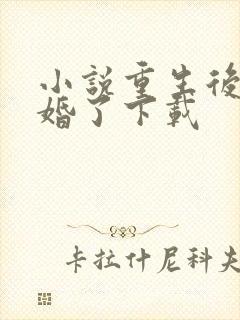 小说重生后我逃婚了下载