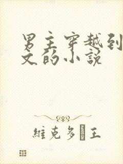 男主穿越到年代文的小说